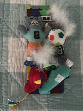 FIFA World Cup 2026 Cat Toys 4 Pieces